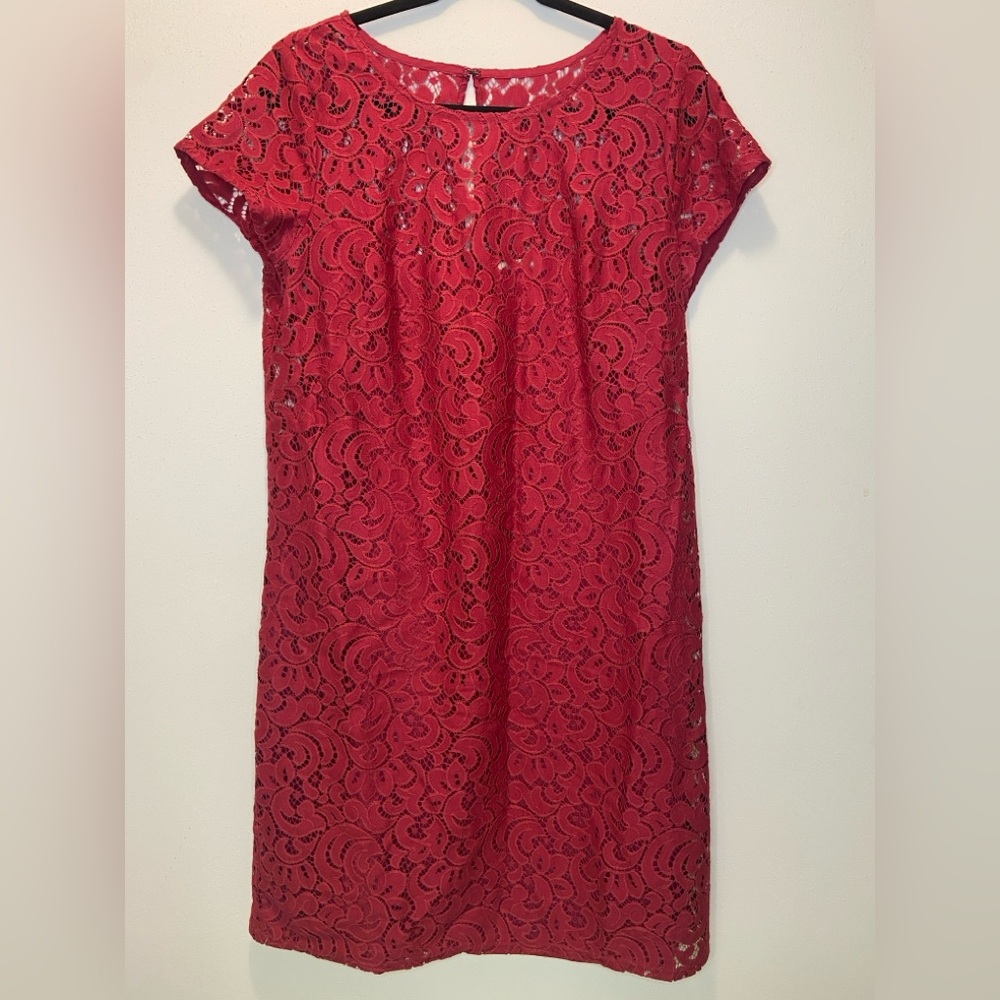 LOFT Red Lace Mini Dress